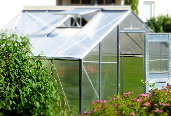 greenhouse photo