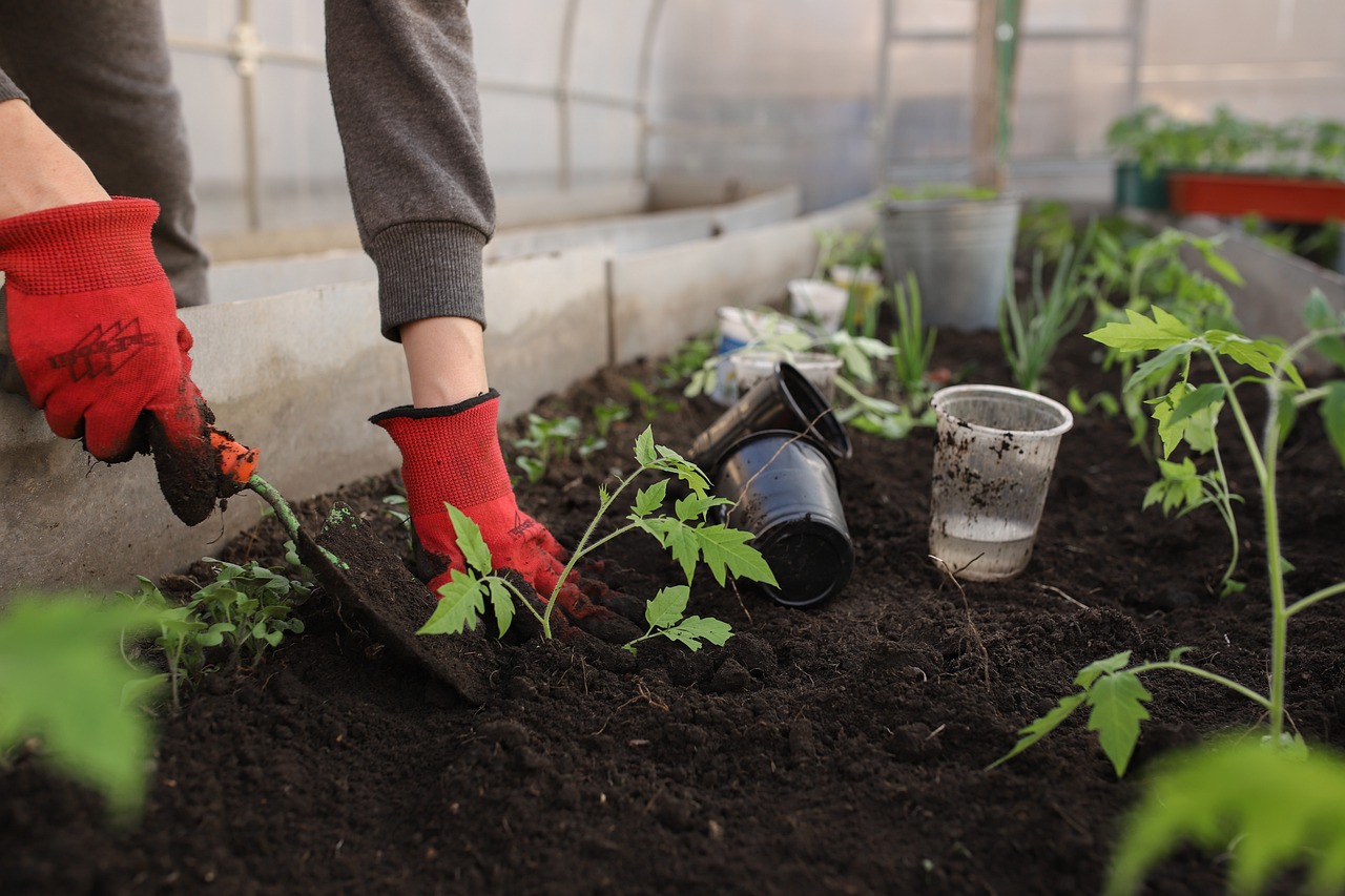 hand planting ground, if you're blind I'm so sorry